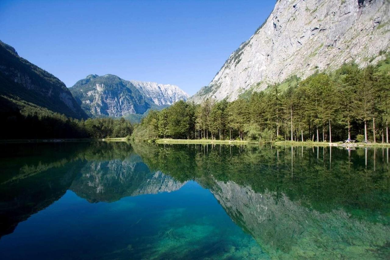 Gaestehaus Reiter Golling an der Salzach Eksteriør bilde